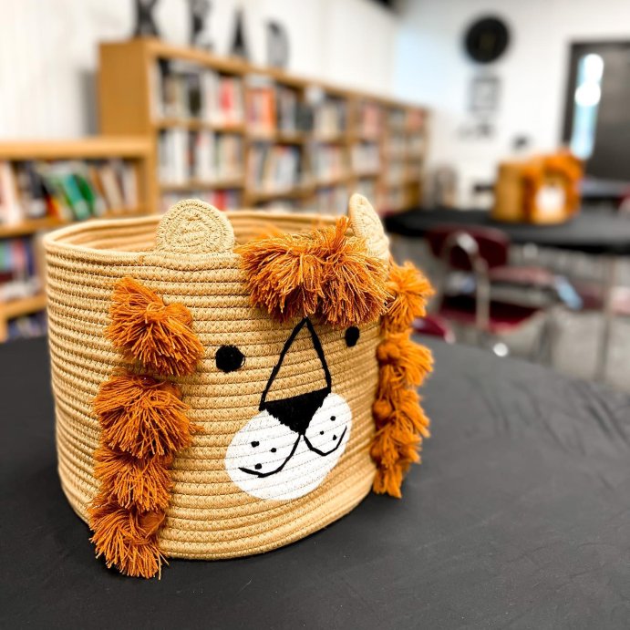 user image by @jessicamclain, Lion Kids&#39; Coiled Rope Basket - Pillowfort&#8482;