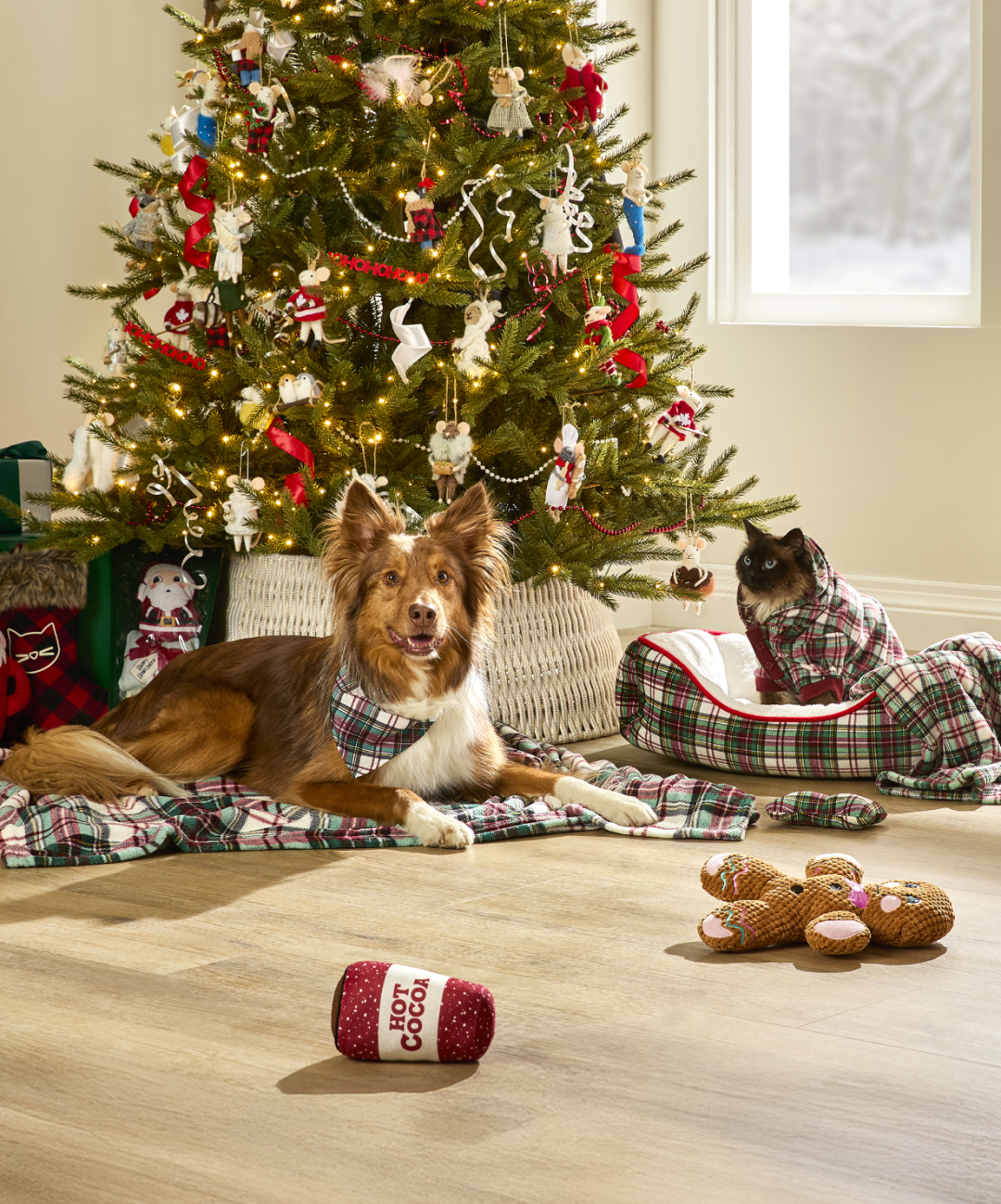 Shop Bandana à carreaux pour animaux Petco Merry Making, Jeté pour animal à carreaux Petco Merry Makings, Literie à carreaux pour animaux Petco Merry Making, Jouet pour chien boisson peluche Petco Merry Makin, Jouet chiens peluche pain d'épice Petco Merry Maki and more