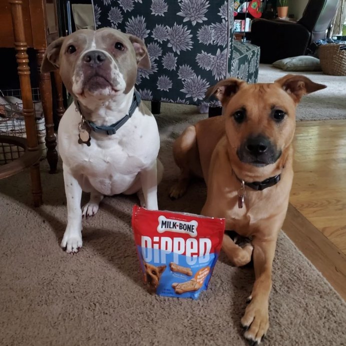 user image by @give_me_some_of_that_wine, Milk-Bone Dipped Peanut Butter Crunchy Dog Treats