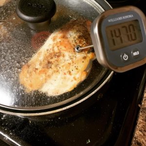 Williams Sonoma Digital Candy Thermometer